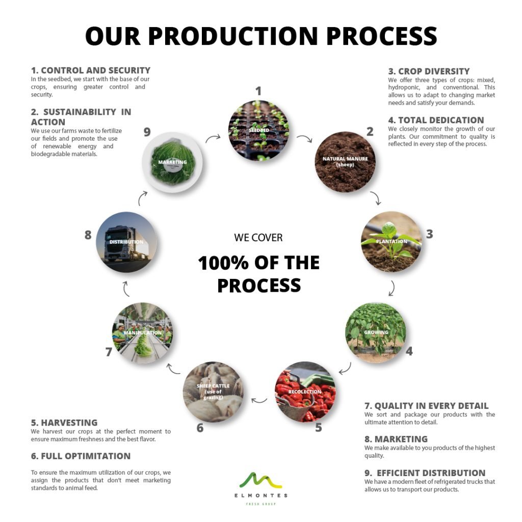 INFOGRAFIA AGROMONTES INGLES
