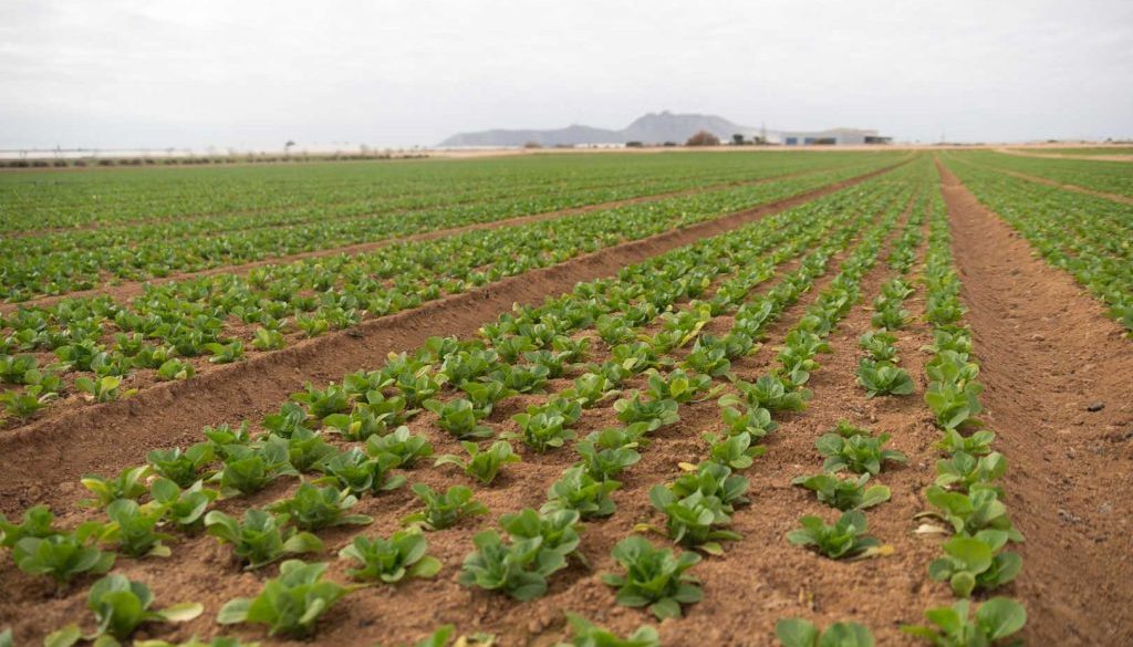 Visita-Agromontes_49-blog